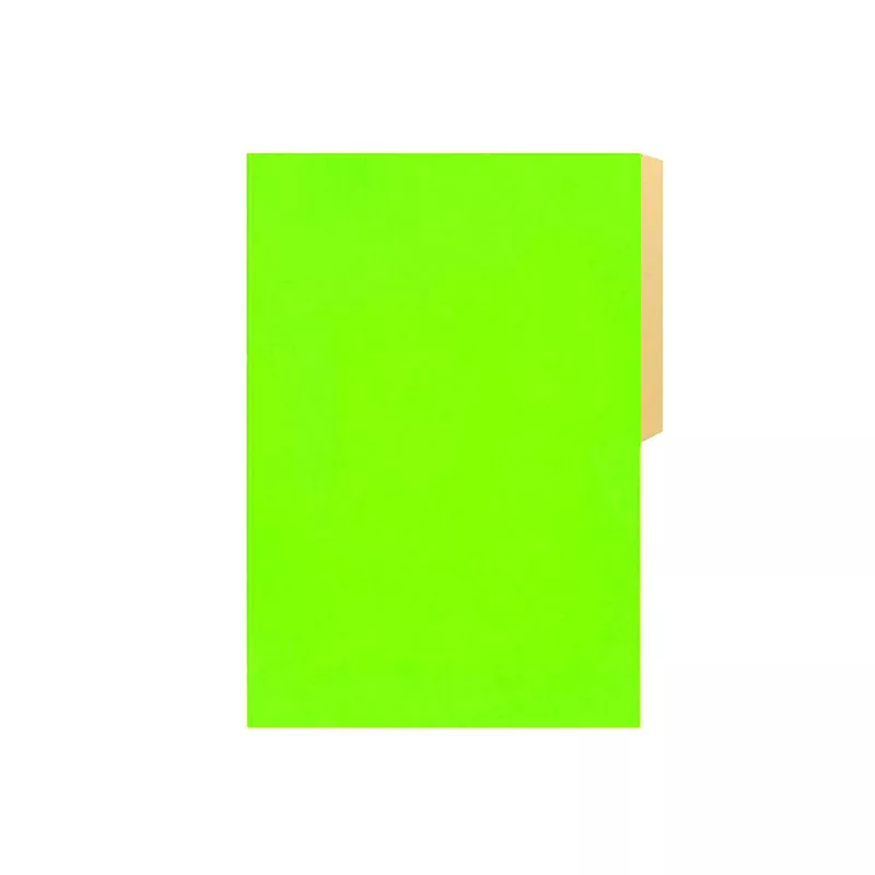 CARPETA PIGMENTADA, CON PESTAÑA VERDE — Hand