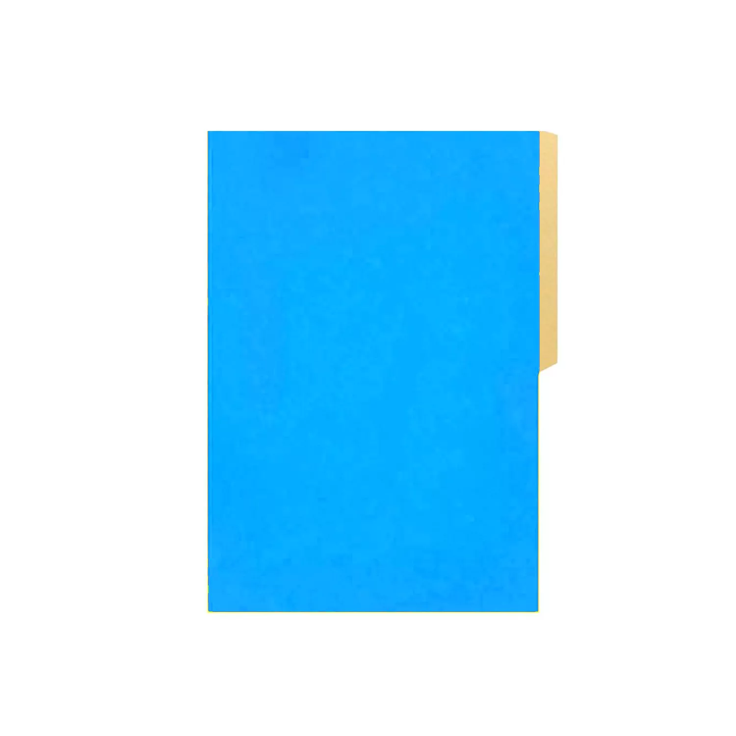 CARPETA PIGMENTADA CON PESTAÑA CELESTE — Hand