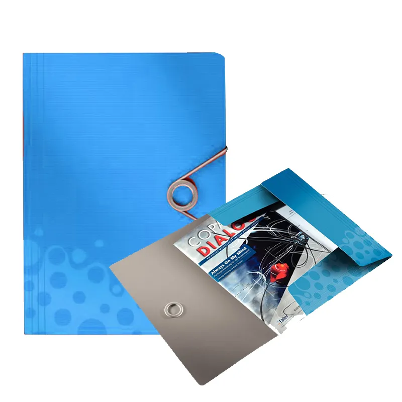 Imagen de CARPETA SOLAPA CON ELASTICO
