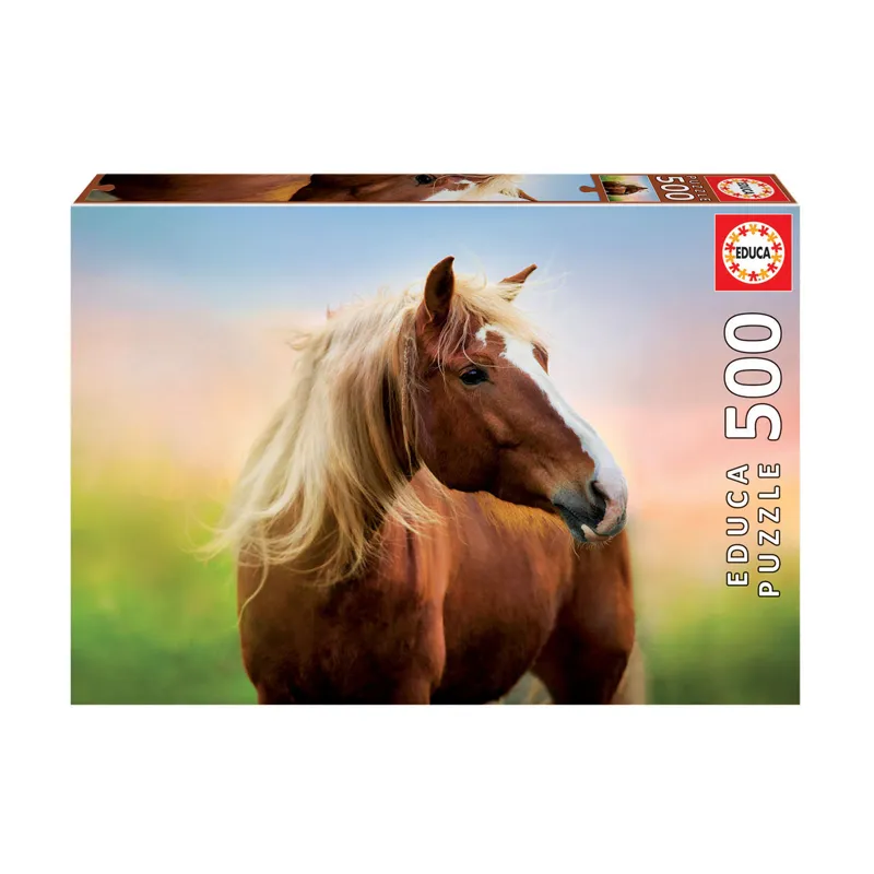 Imagen de PUZZLE 500 PIEZAS