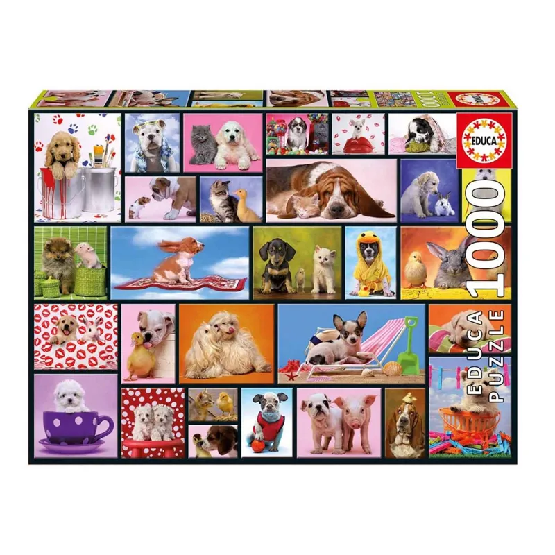 Imagen de PUZZLE 1000 PIEZAS