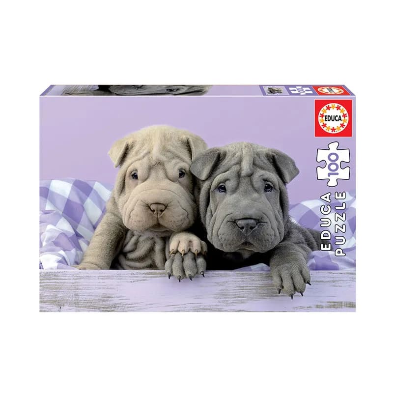 PUZZLE 100 PCS 28X20CM BUENOS DIAS — Educa Borras