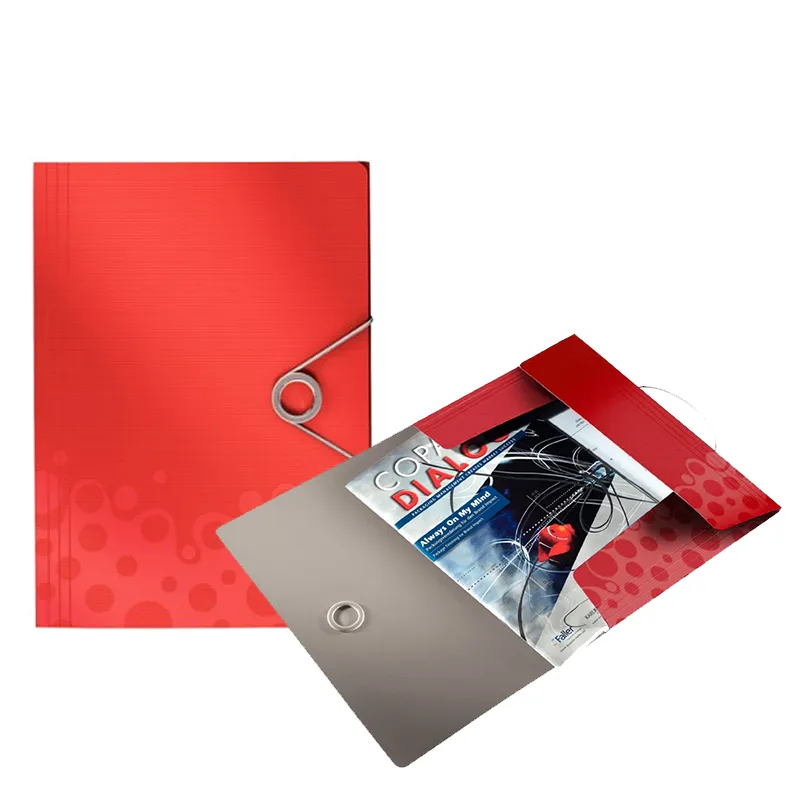 Imagen de CARPETA SOLAPA CON ELASTICO