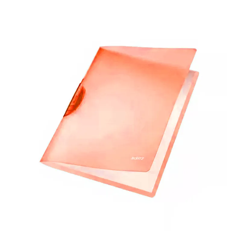 Imagen de CARPETA PLASTICA CON CLIP