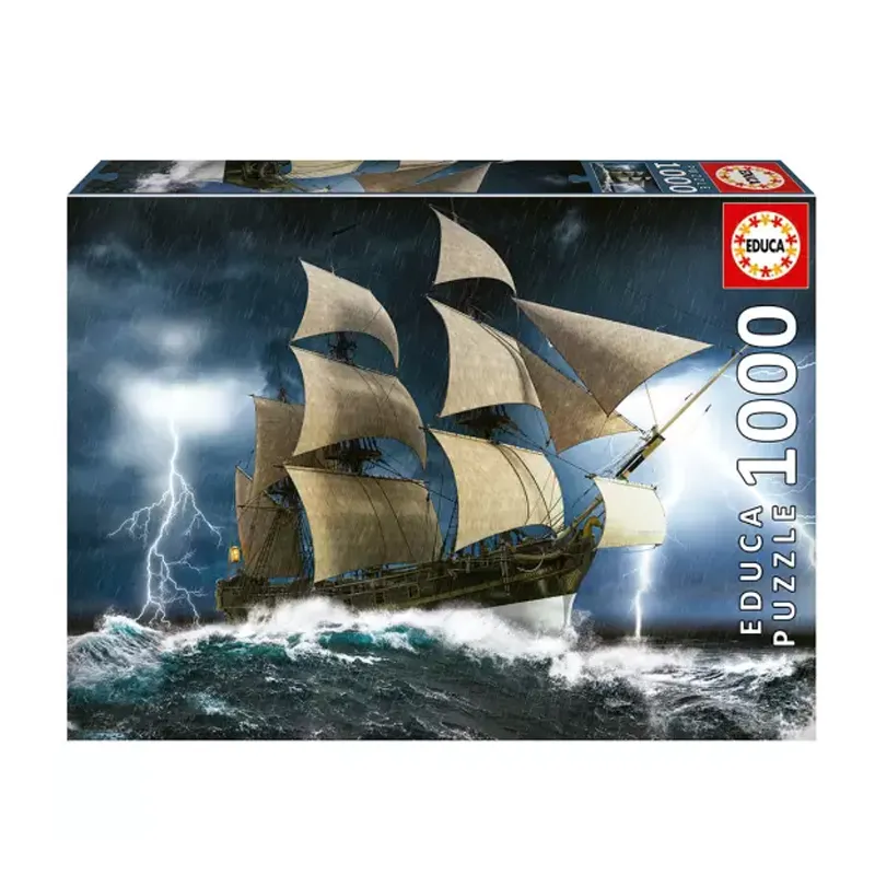 Imagen de PUZZLE 1000 PCS 48x68cm TORMENTA PERFECTA