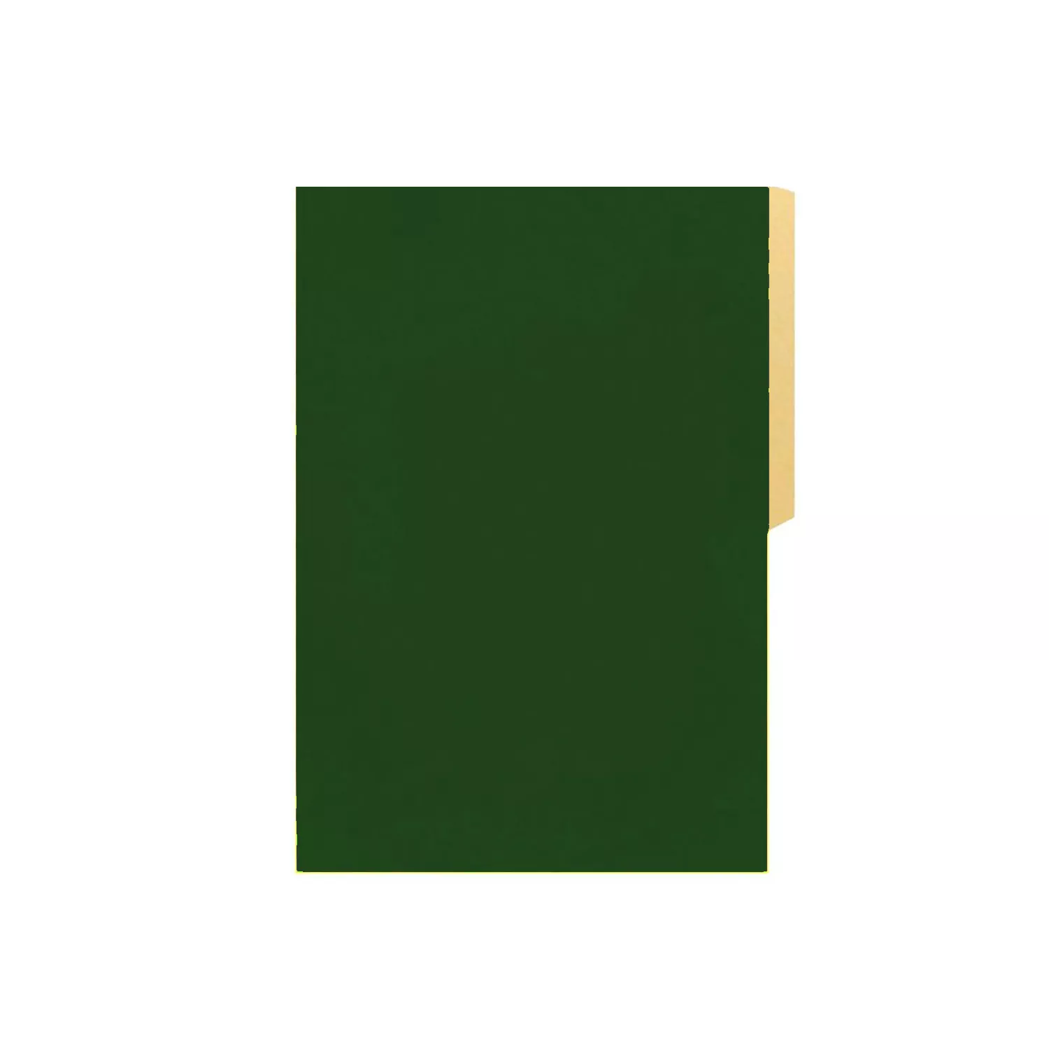 CARPETA PIGMENTADA CON PESTAÑA VERDE CLARO — Hand