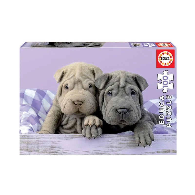 PUZZLE 100 PCS 28X20CM BUENOS DIAS — Educa Borras